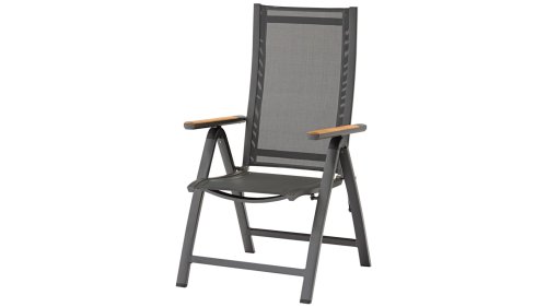 zebra fly hochlehner graphite